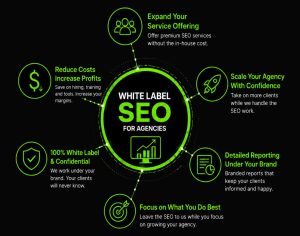 White Label Local SEO Agency Queensland