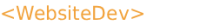 website (1)